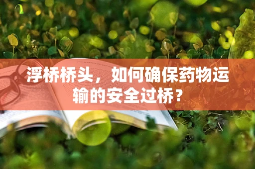 浮桥桥头，如何确保药物运输的安全过桥？