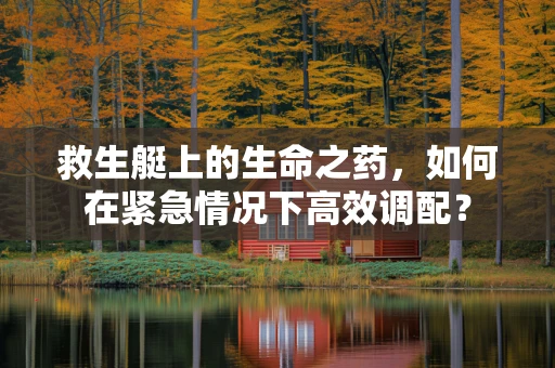 救生艇上的生命之药，如何在紧急情况下高效调配？