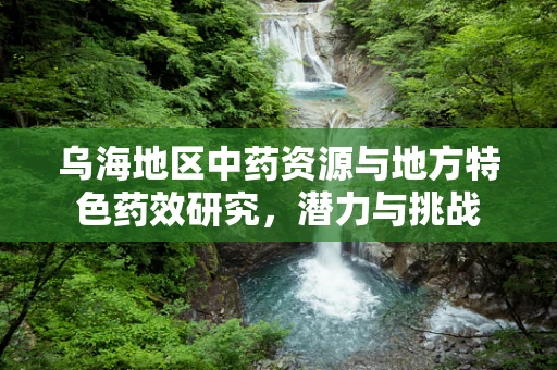 乌海地区中药资源与地方特色药效研究，潜力与挑战