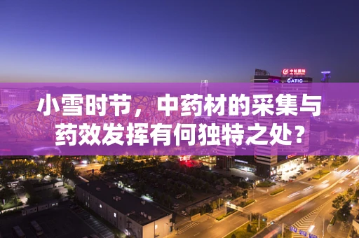 小雪时节，中药材的采集与药效发挥有何独特之处？