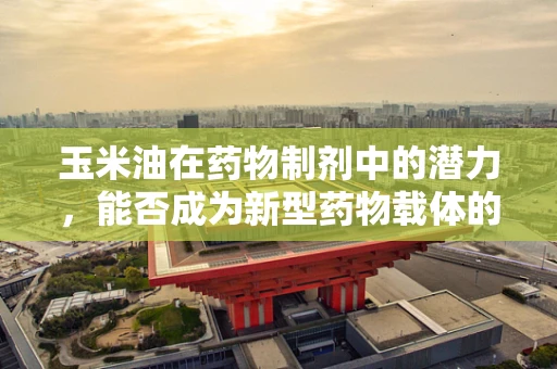 玉米油在药物制剂中的潜力，能否成为新型药物载体的突破口？