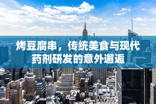 烤豆腐串，传统美食与现代药剂研发的意外邂逅