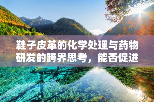 鞋子皮革的化学处理与药物研发的跨界思考，能否促进新型药物载体的创新？