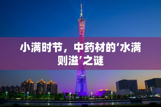 小满时节，中药材的‘水满则溢’之谜