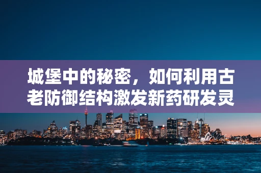 城堡中的秘密，如何利用古老防御结构激发新药研发灵感？