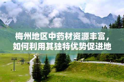 梅州地区中药材资源丰富，如何利用其独特优势促进地方药剂研发？