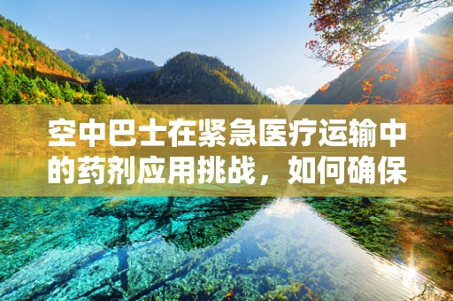 空中巴士在紧急医疗运输中的药剂应用挑战，如何确保安全高效的药品输送？