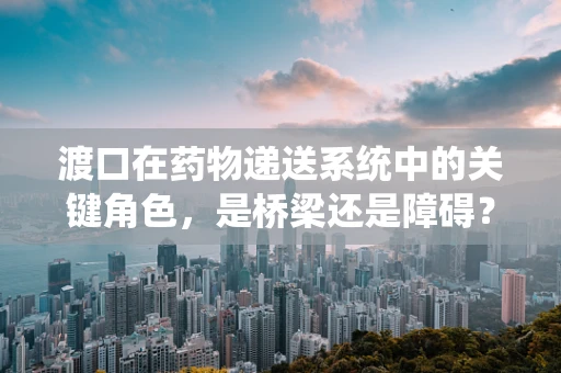 渡口在药物递送系统中的关键角色，是桥梁还是障碍？