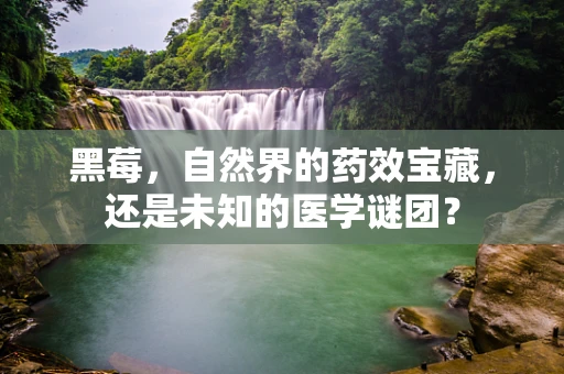 黑莓，自然界的药效宝藏，还是未知的医学谜团？