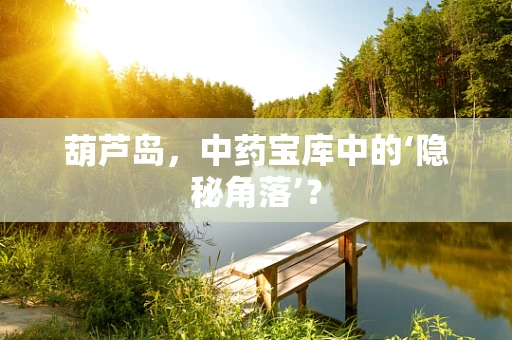 葫芦岛，中药宝库中的‘隐秘角落’？