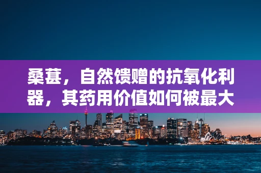 桑葚，自然馈赠的抗氧化利器，其药用价值如何被最大化利用？