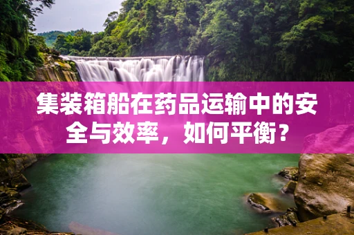 集装箱船在药品运输中的安全与效率，如何平衡？