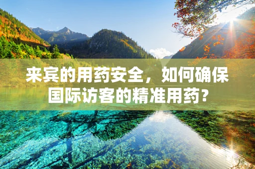来宾的用药安全，如何确保国际访客的精准用药？