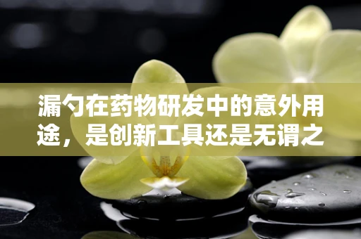漏勺在药物研发中的意外用途，是创新工具还是无谓之举？