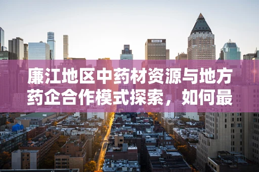 廉江地区中药材资源与地方药企合作模式探索，如何最大化利用当地优势？