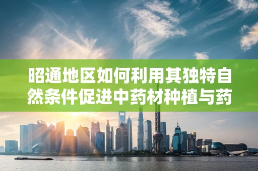 昭通地区如何利用其独特自然条件促进中药材种植与药效研究？