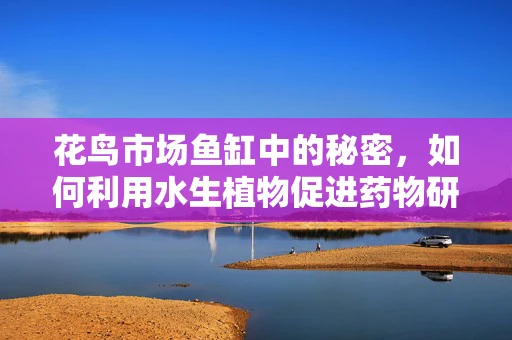 花鸟市场鱼缸中的秘密，如何利用水生植物促进药物研发？