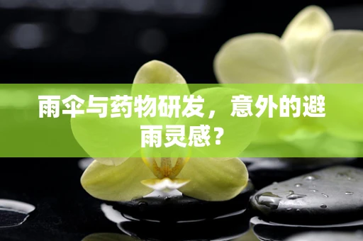 雨伞与药物研发，意外的避雨灵感？