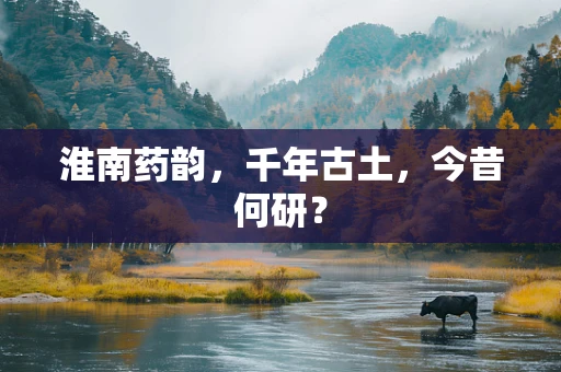 淮南药韵，千年古土，今昔何研？