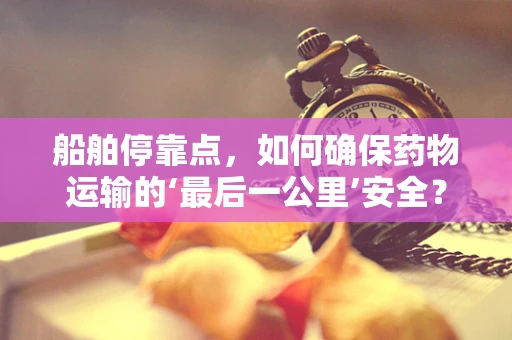 船舶停靠点，如何确保药物运输的‘最后一公里’安全？