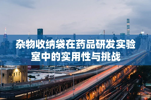 杂物收纳袋在药品研发实验室中的实用性与挑战