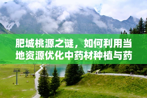 肥城桃源之谜，如何利用当地资源优化中药材种植与药效提升？