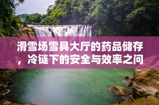 滑雪场雪具大厅的药品储存，冷链下的安全与效率之问