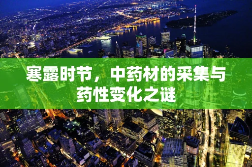 寒露时节，中药材的采集与药性变化之谜