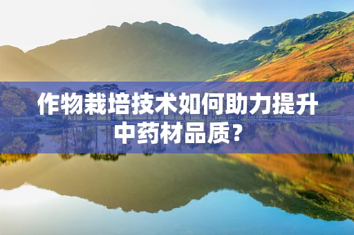 作物栽培技术如何助力提升中药材品质？