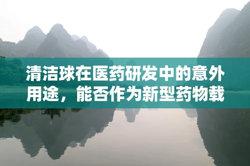 清洁球在医药研发中的意外用途，能否作为新型药物载体的探索？