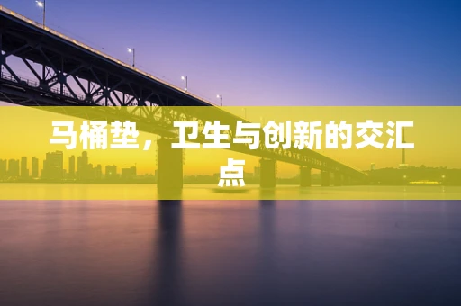 马桶垫，卫生与创新的交汇点