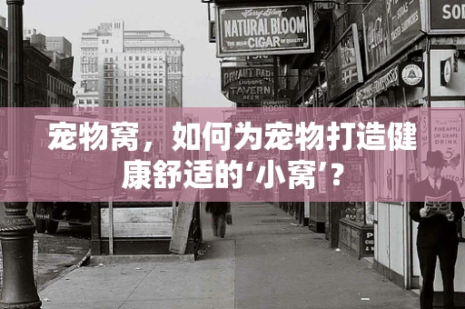 宠物窝，如何为宠物打造健康舒适的‘小窝’？