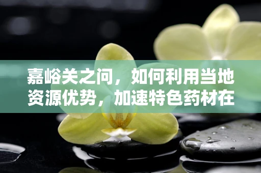 嘉峪关之问，如何利用当地资源优势，加速特色药材在药剂研发中的应用？