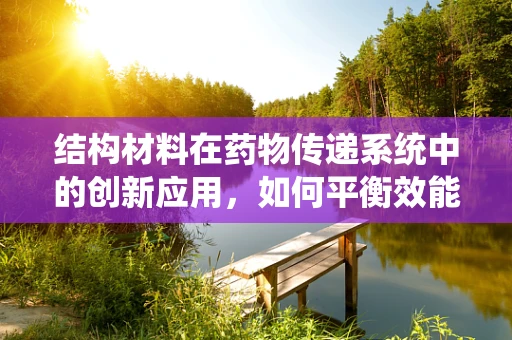 结构材料在药物传递系统中的创新应用，如何平衡效能与安全性？