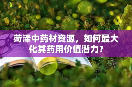 菏泽中药材资源，如何最大化其药用价值潜力？