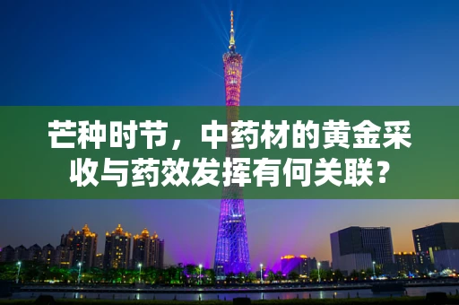 芒种时节，中药材的黄金采收与药效发挥有何关联？