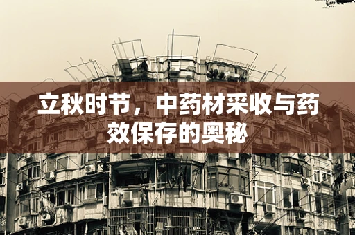 立秋时节，中药材采收与药效保存的奥秘
