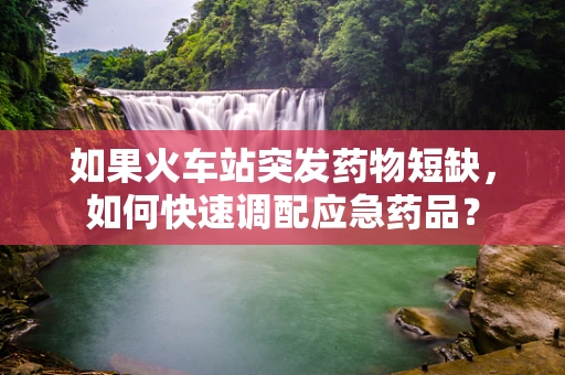 如果火车站突发药物短缺，如何快速调配应急药品？