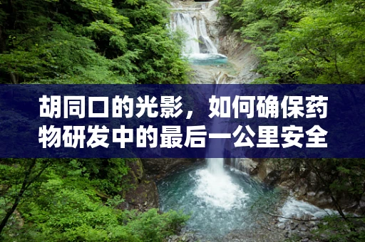 胡同口的光影，如何确保药物研发中的最后一公里安全送达？