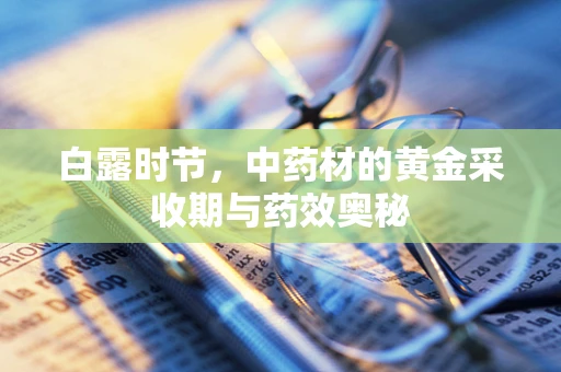 白露时节，中药材的黄金采收期与药效奥秘