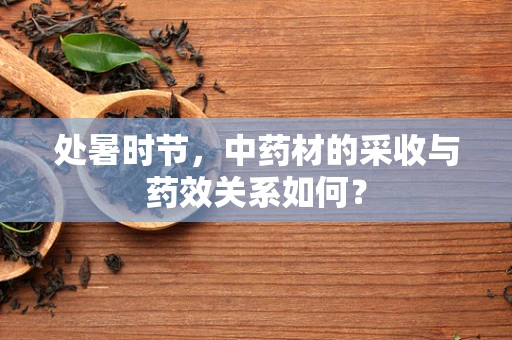 处暑时节，中药材的采收与药效关系如何？
