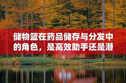 储物篮在药品储存与分发中的角色，是高效助手还是潜在风险？