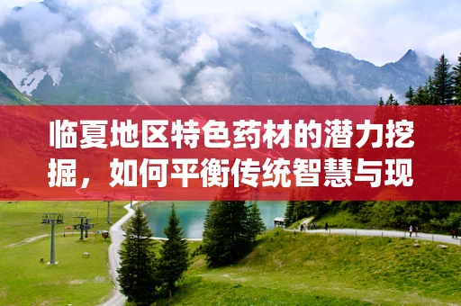 临夏地区特色药材的潜力挖掘，如何平衡传统智慧与现代科学？