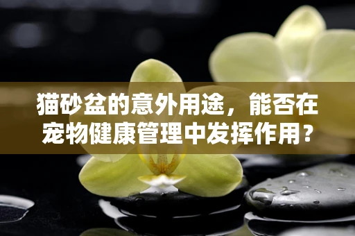猫砂盆的意外用途，能否在宠物健康管理中发挥作用？