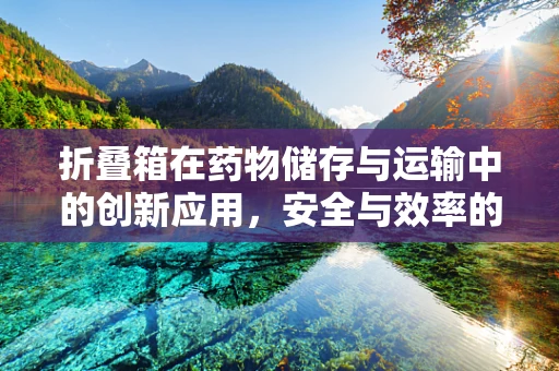 折叠箱在药物储存与运输中的创新应用，安全与效率的双重考量