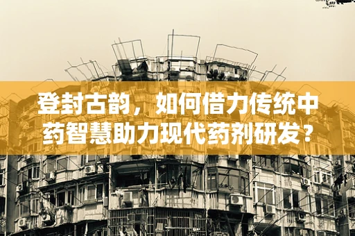 登封古韵，如何借力传统中药智慧助力现代药剂研发？