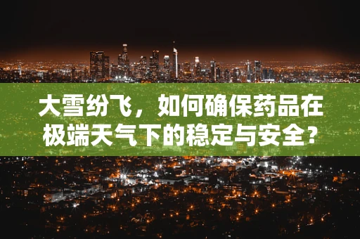 大雪纷飞，如何确保药品在极端天气下的稳定与安全？