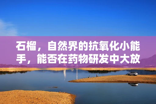石榴，自然界的抗氧化小能手，能否在药物研发中大放异彩？