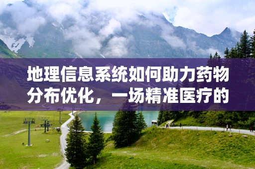 地理信息系统如何助力药物分布优化，一场精准医疗的革命？