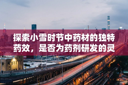 探索小雪时节中药材的独特药效，是否为药剂研发的灵感之源？